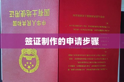 礼县签证制作的申请步骤