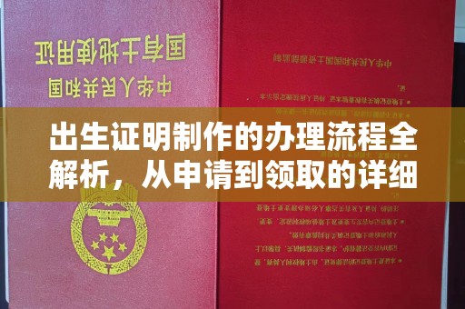 礼县出生证明制作的办理流程全解析，从申请到领取的详细指南