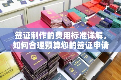 礼县签证制作的费用标准详解，如何合理预算您的签证申请成本