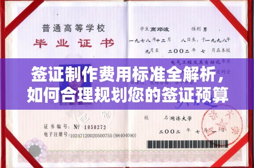 礼县签证制作费用标准全解析，如何合理规划您的签证预算？