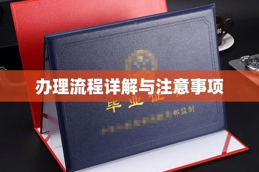 礼县办理流程详解与注意事项